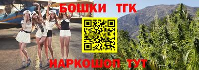 шишки Ставрополь