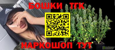 шишки Ставрополь