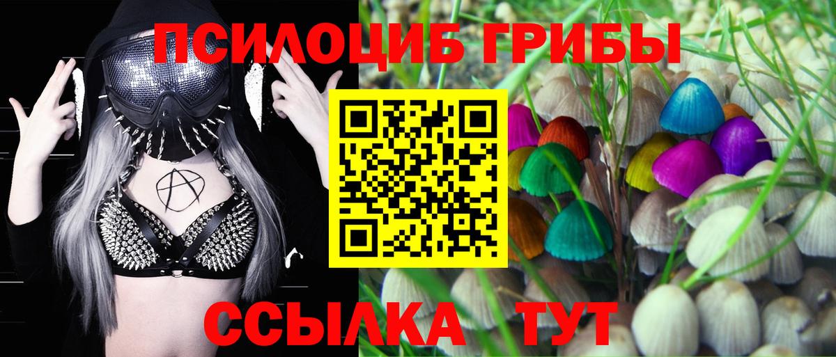 Нижневартовск  Галлюциногенные грибы мухоморы  Вход с VPN 